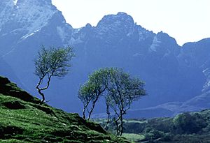 Near Loch Cill Chriosd, Strathaird by Steve Terry